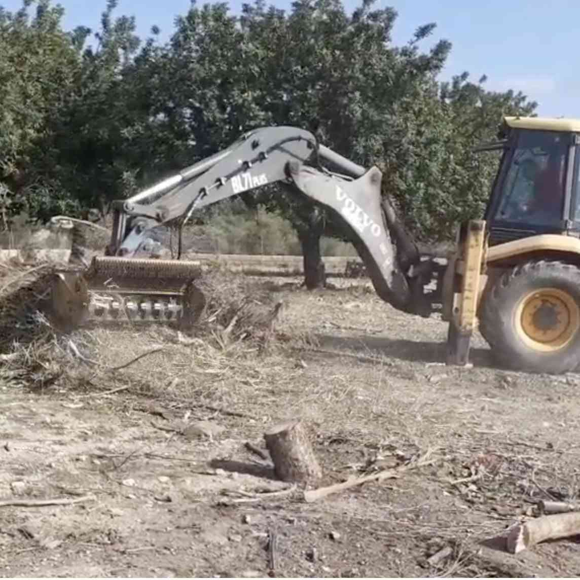 Poda y tala de árboles de altura