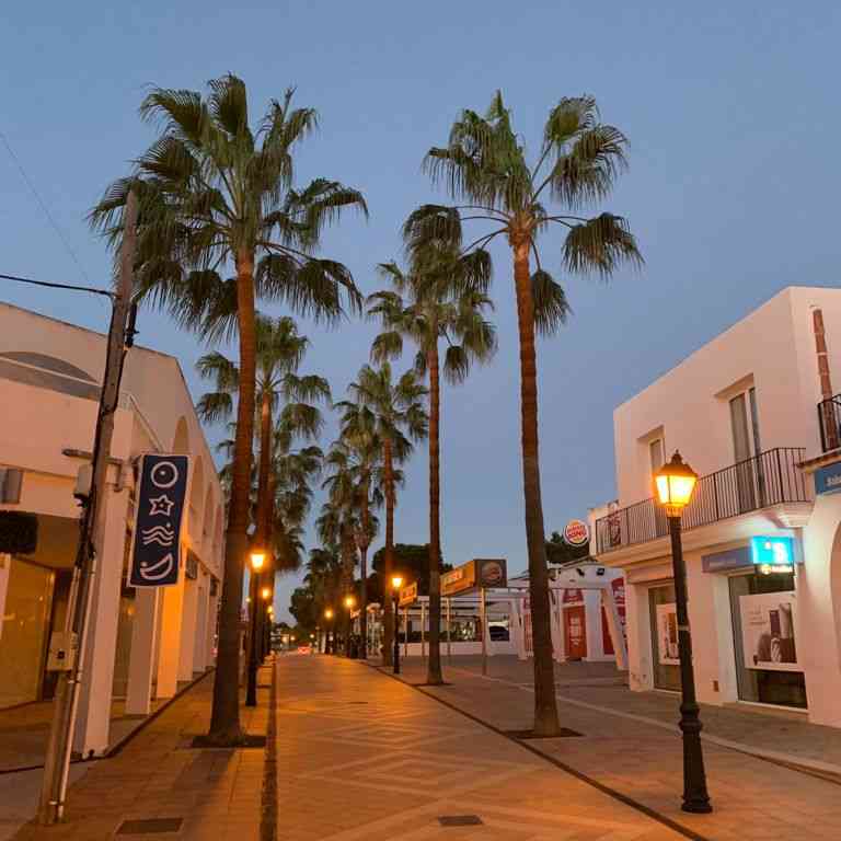 Tala y poda de palmeras en Mallorca