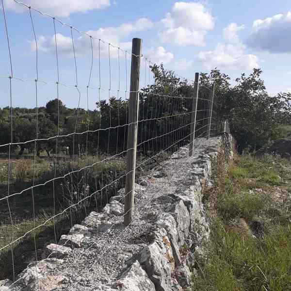 Poda y tala de árboles de altura